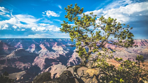 Grand Canyon landscape etienne kopp USA Amerique Ouest américain